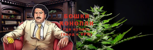 эйфоретик Белоозёрский