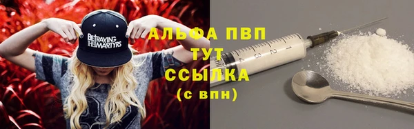 молекула духа Богородицк