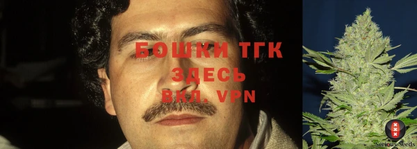 эйфоретик Белоозёрский
