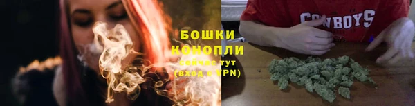 гашик Бежецк