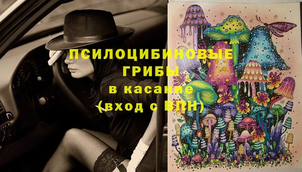 мдпв Белокуриха