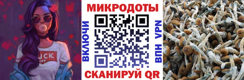 Купить  Бодайбо  Псилоцибиновые грибы MAGIC MUSHROOMS 